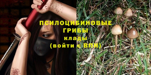 индика Верхнеуральск