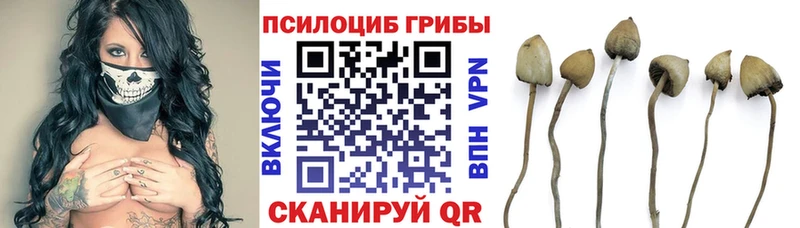 Галлюциногенные грибы мицелий  Нижний Тагил 