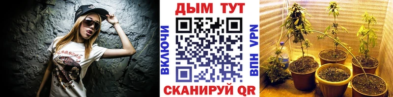 Конопля THC 21%  цены   Нижний Тагил 
